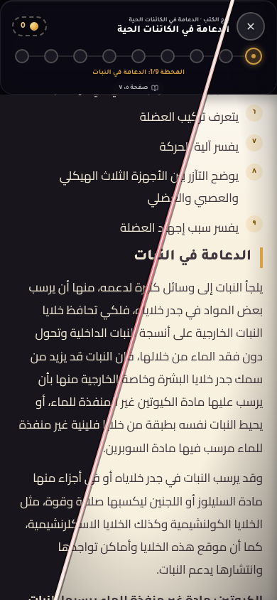 برج الكتب: صفحة القراءة بالوضعين الليلي والنهاري في صورة واحدة